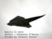 Photo Origami Batoidea (Aquila di mare) Author : Pasquale DAuria, Folded by Tatsuto Suzuki